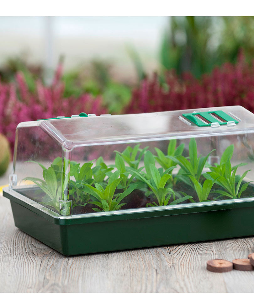 Propagator, Starter Set