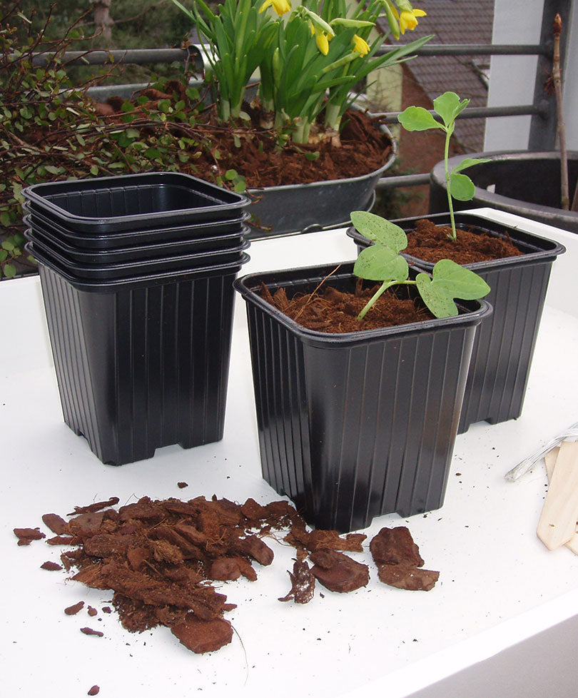 Propagator, Starter Set