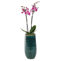 TS Tall flower pot Iris round blue - Indoor pot