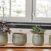 TS Flower pot Iris round green - Indoor pot