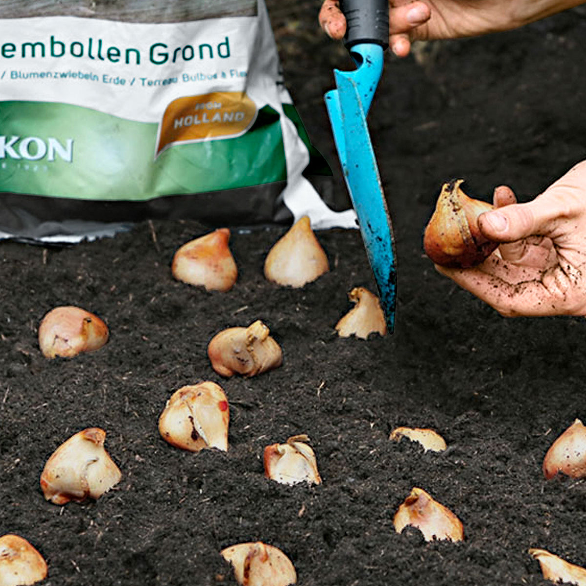 Pokon Bulb Potting Compost