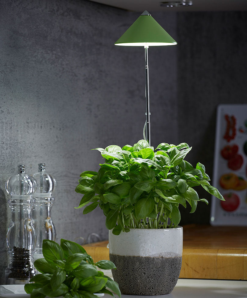 Parus iSun Propagation Light Green