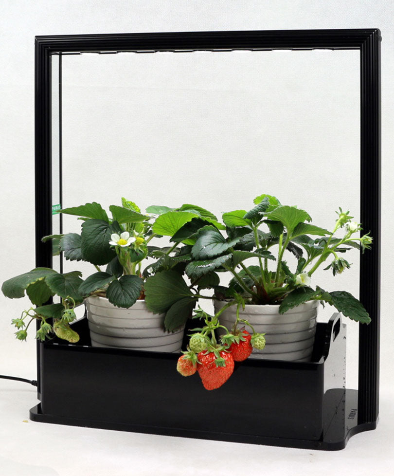 Buy Parus Mini farm M10 36 cm | Bakker.com