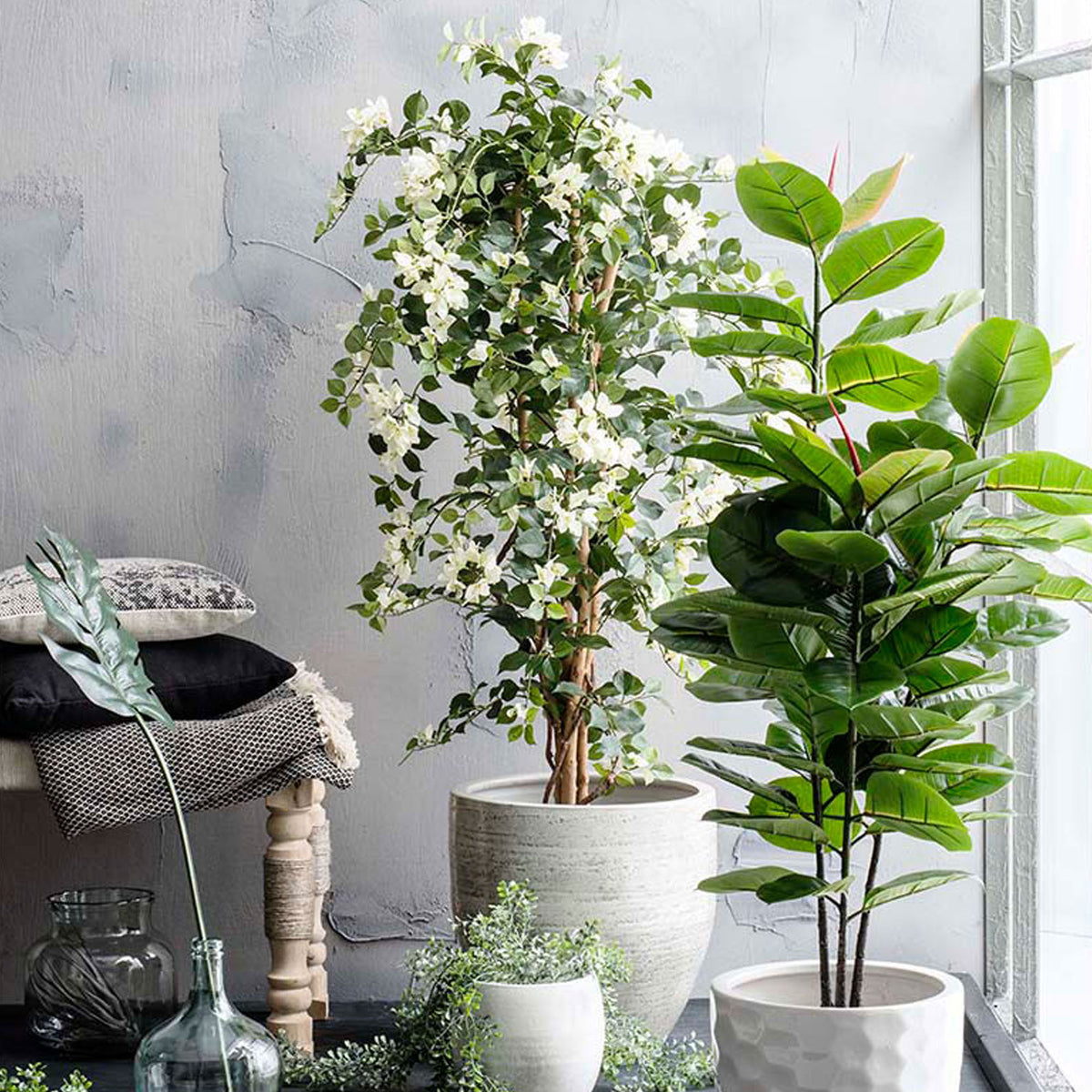 Artificial rubber plant in pot