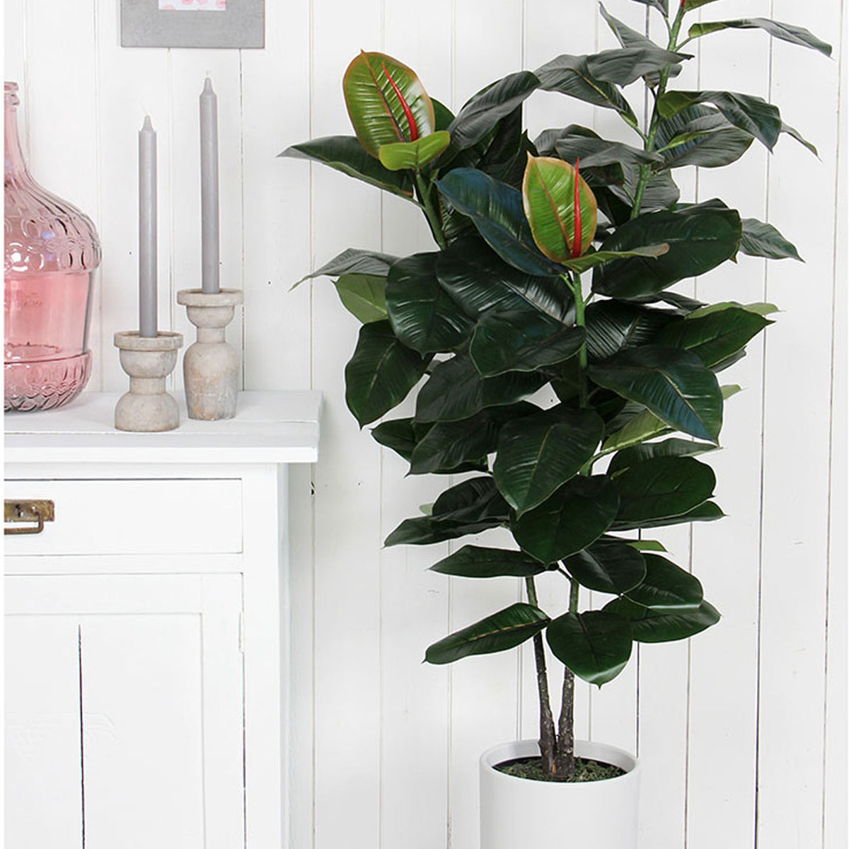 Artificial rubber plant in pot