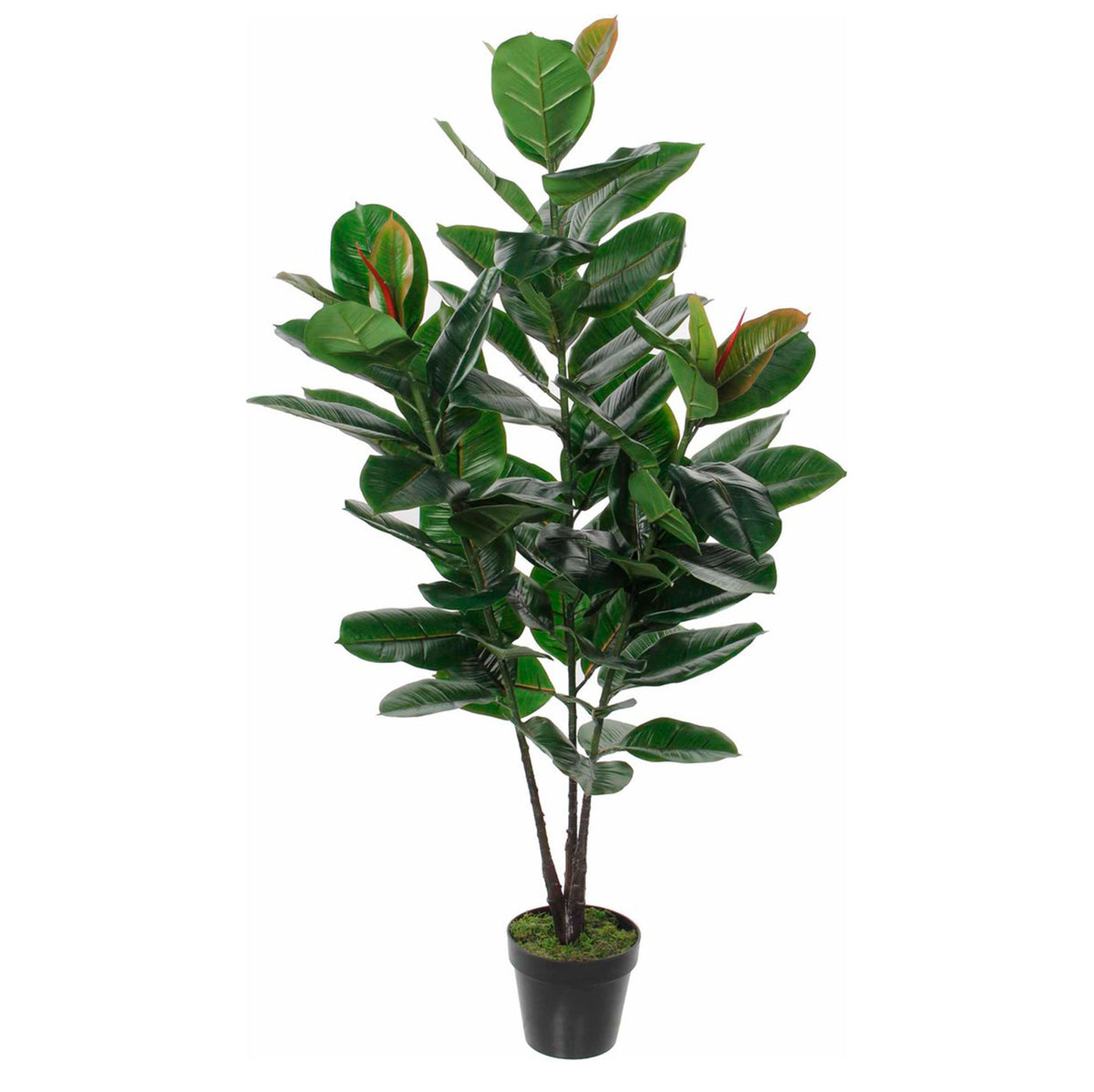 Artificial rubber plant in pot
