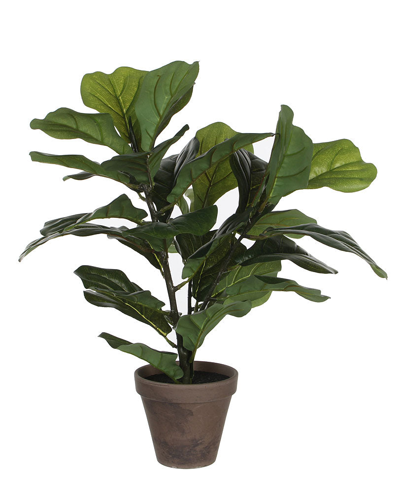 Artificial Ficus Lyrata