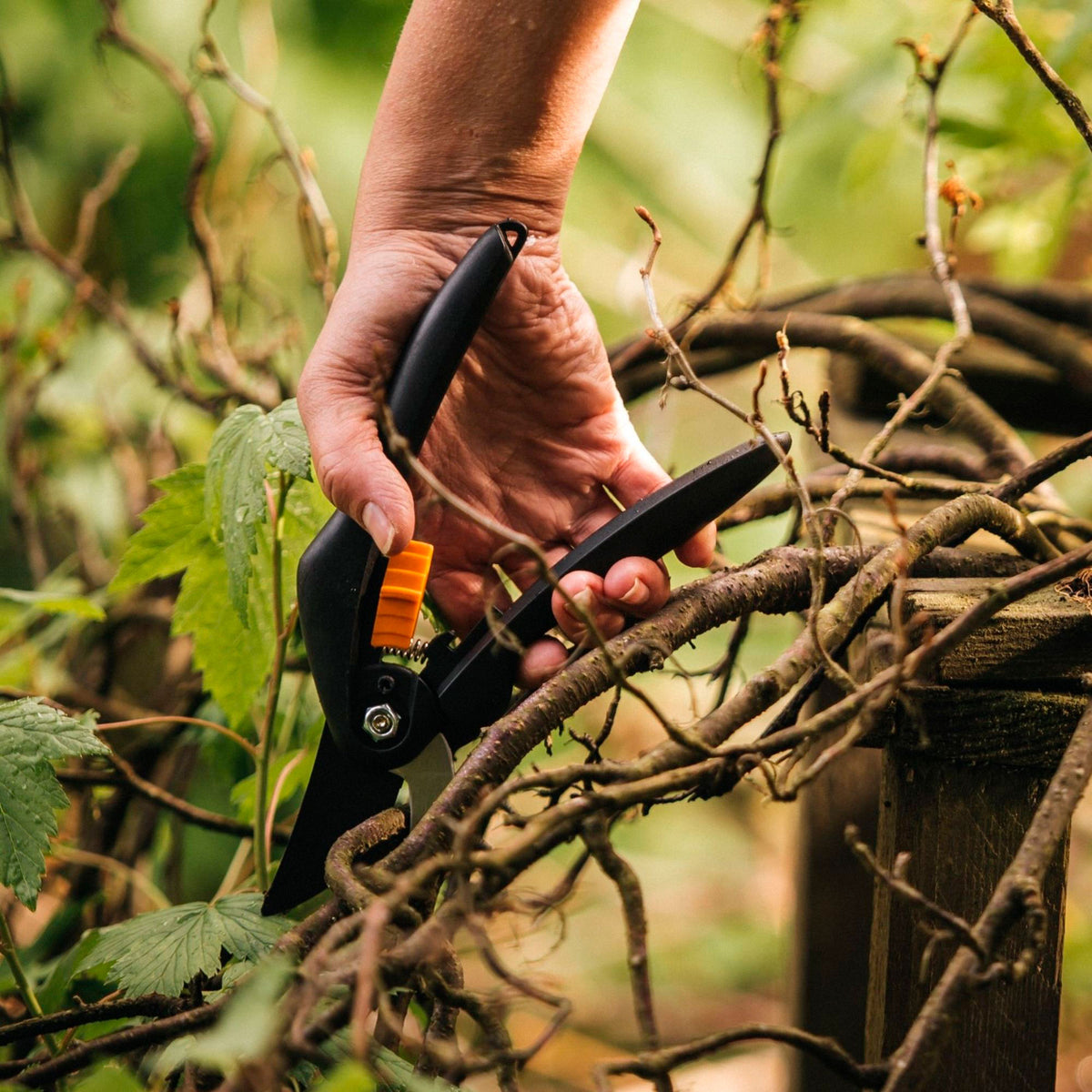 Fiskars Fiskars Solid Bypass Pruner Black-Orange