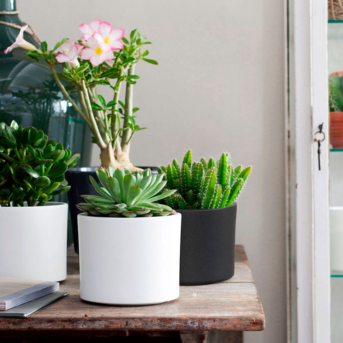 Era flower pot White