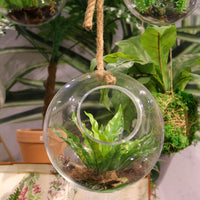 Mica Sil hanging glass globe with rope