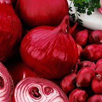 Onion Allium 'Brunswijker Red Comred'