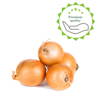 Onion Allium 'Stuttgarter Riesen'