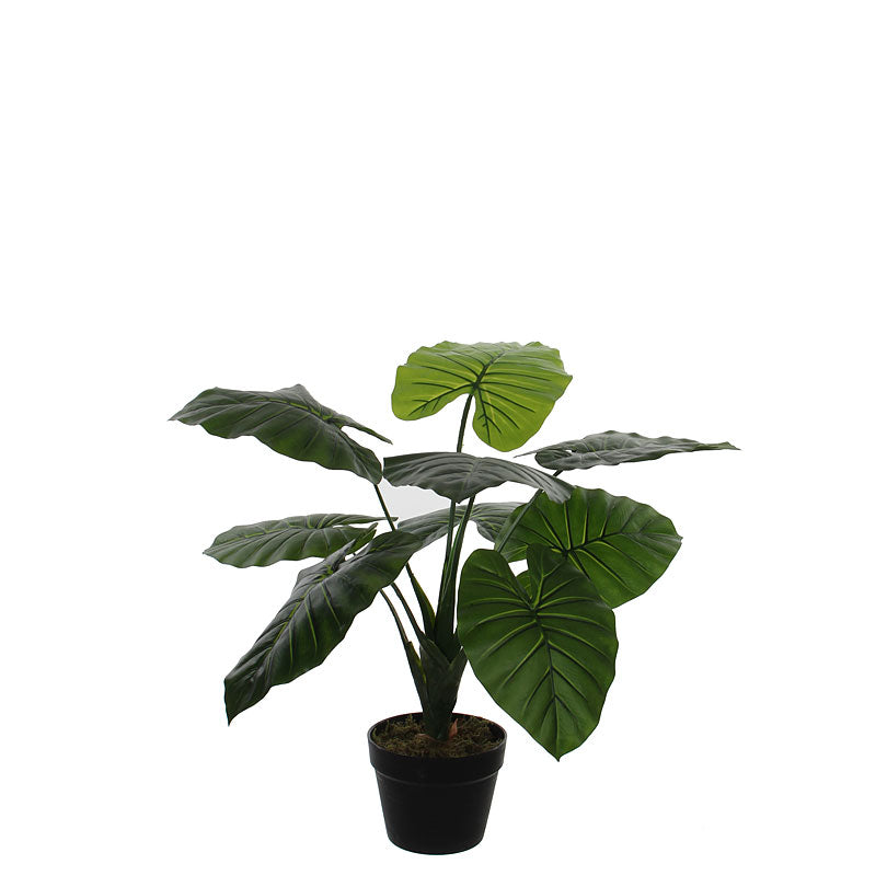 Mica Artificial taro plant