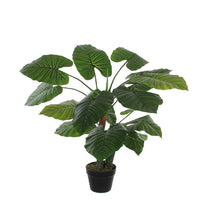 Mica Artificial taro plant