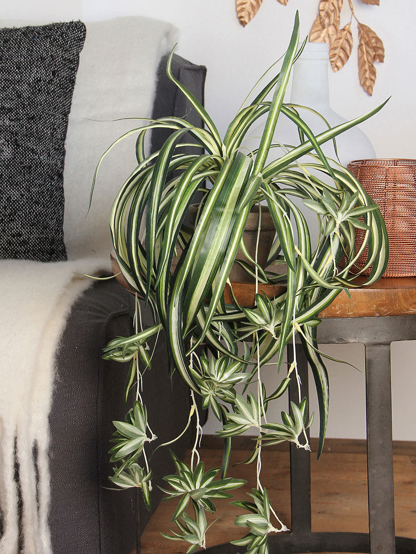 Artificial hanging Chlorophytum plant