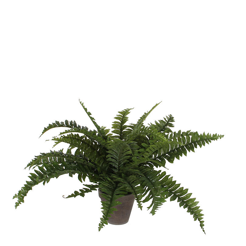 Artificial fern Green