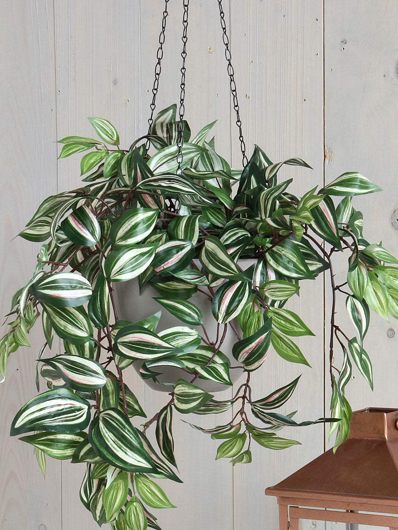 Artificial hanging Tradescantia plant Green