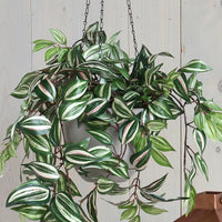 Artificial hanging Tradescantia plant Green