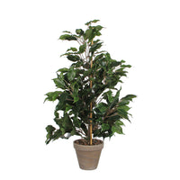 Mica Artificial plant Ficus 'Exotica'