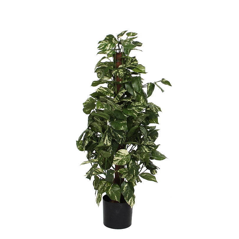 Mica Artificial Scindapsus plant