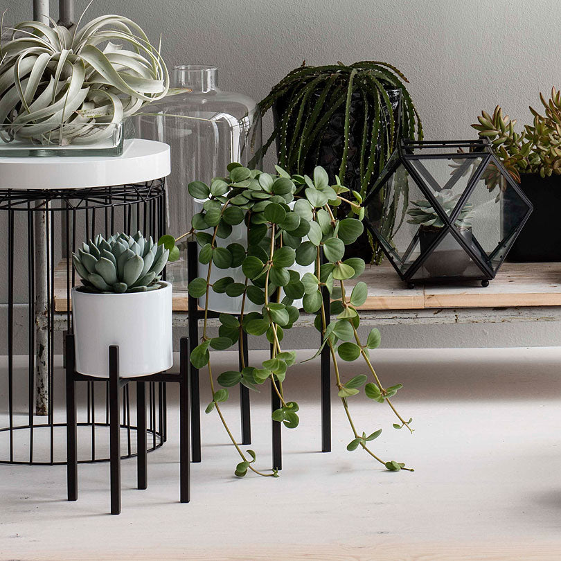 2x Plant stand Ascot black