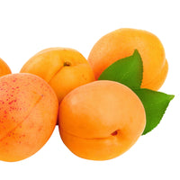 Apricot Tree - Hardy plant