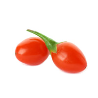 Goji berry Lycium 'Instant Success' Red - Bio - Hardy plant