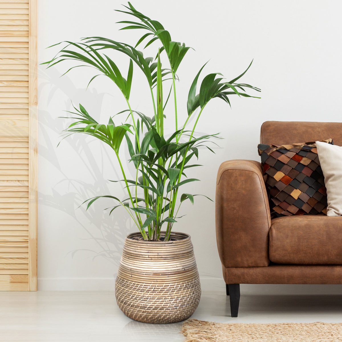 van der Leeden Basket - rattan - Indoor and outdoor pot Grey