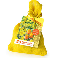 50x flower bulbs in a burlap pouch Yellow