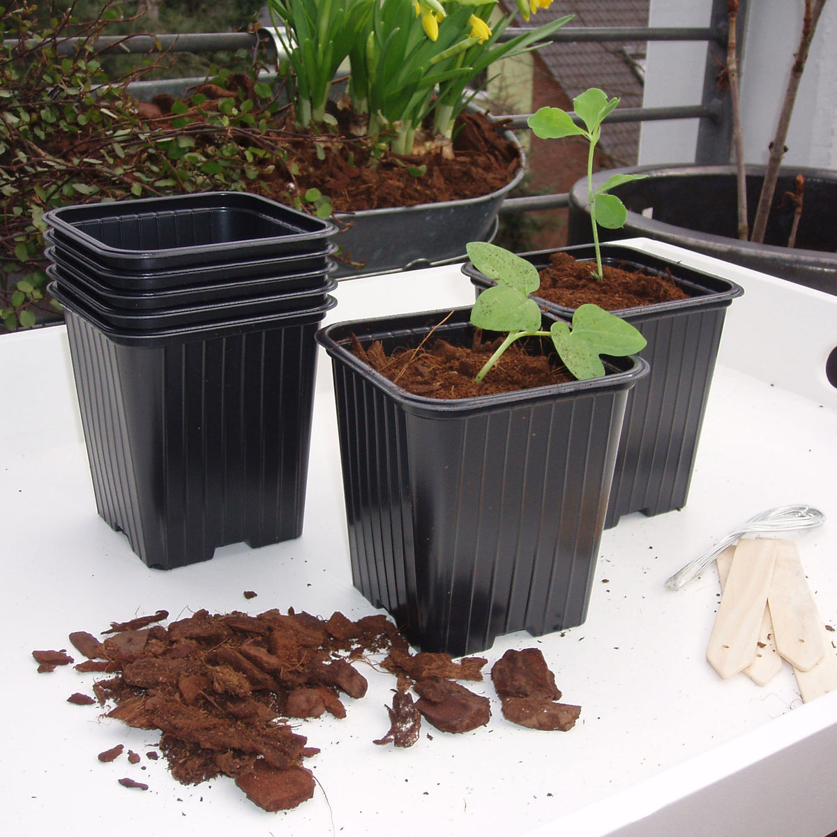Complete growing kit