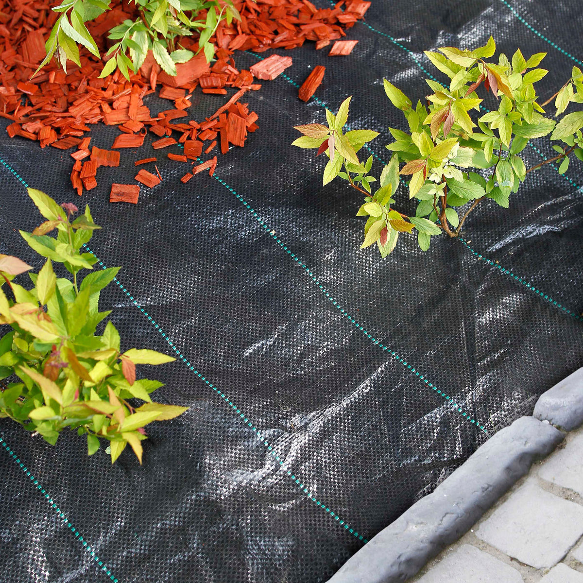 Nature Groundcloth with posts