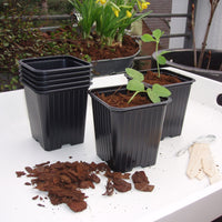 Plastic seedling pots - Nature