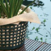 3x Aquatic plant mat