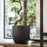 Capi Flower pot Urban smooth round black - Indoor and outdoor pot