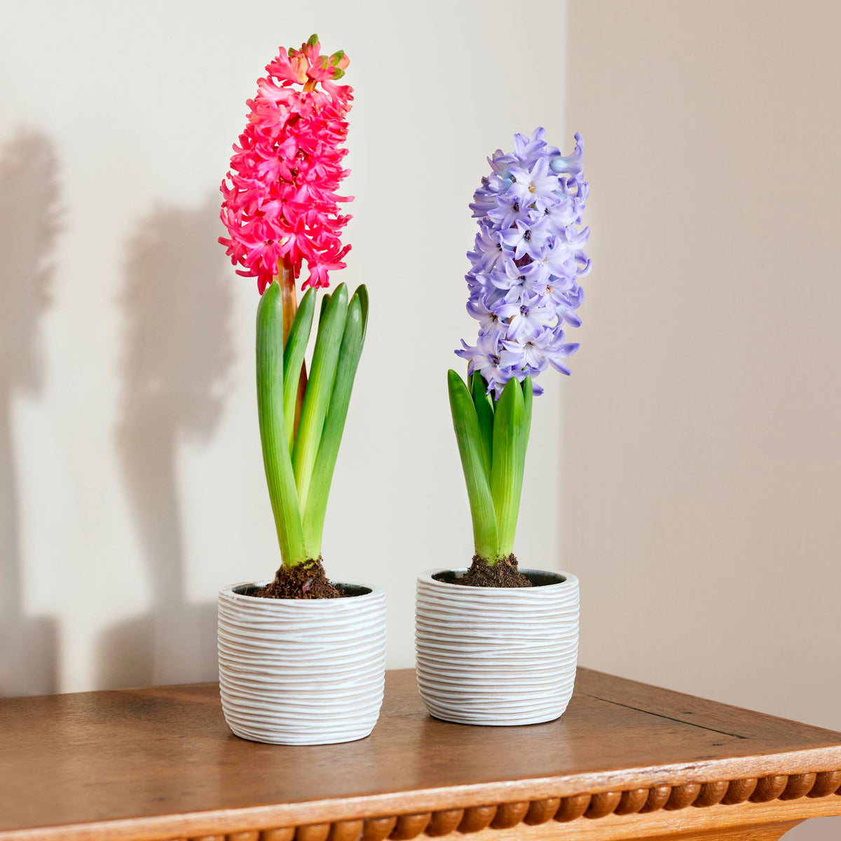 Capi flower pot Nature Rib pot ball round ivory — indoor pot