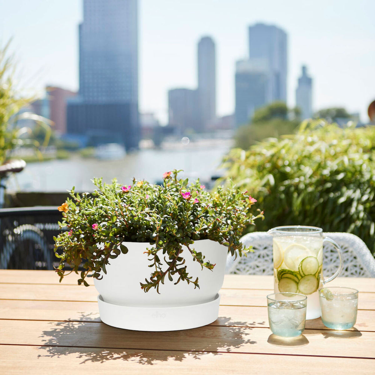 Elho Bowl Greenville round white - Outdoor pot