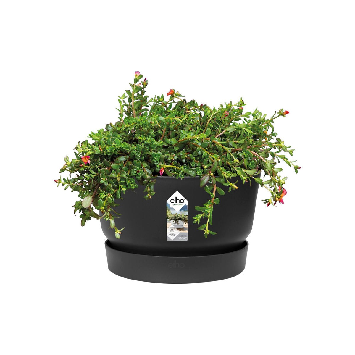 Elho bowl Greenville round black - Outdoor pot