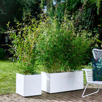 Elho planter Vivo Matt Finish rectangular white including wheels - Indoor and outdoor pot
