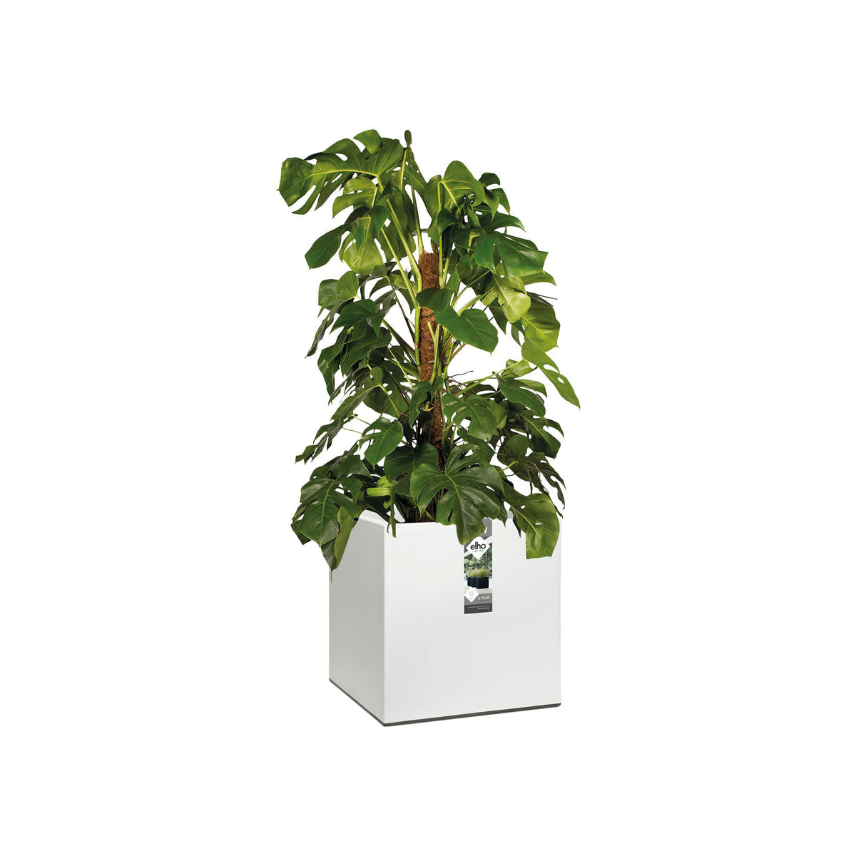 Elho planter Vivo Matt Finish square white including wheels - Indoor and outdoor pot
