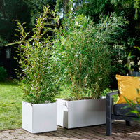 Elho planter Vivo Matt Finish square white including wheels - Indoor and outdoor pot