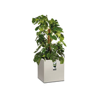 Elho planter Vivo Matt Finish square grey including wheels - Indoor and outdoor pot