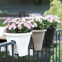 Elho balcony planter Corsica flower bridge round anthracite - Outdoor pot