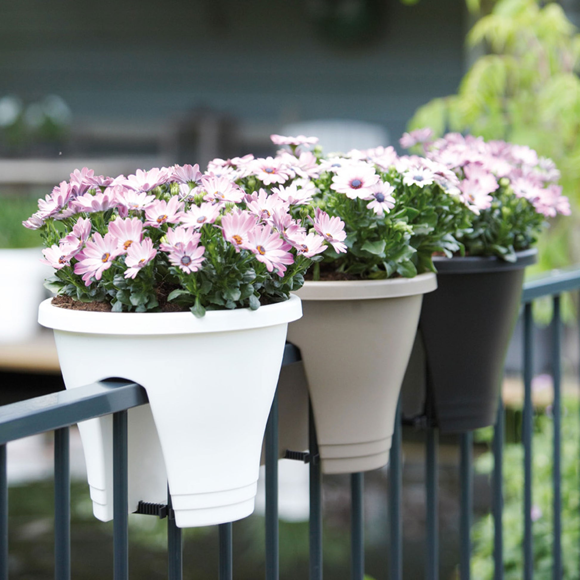 plant pots for balcony Elho balcony planter Corsica flower bridge round anthracite