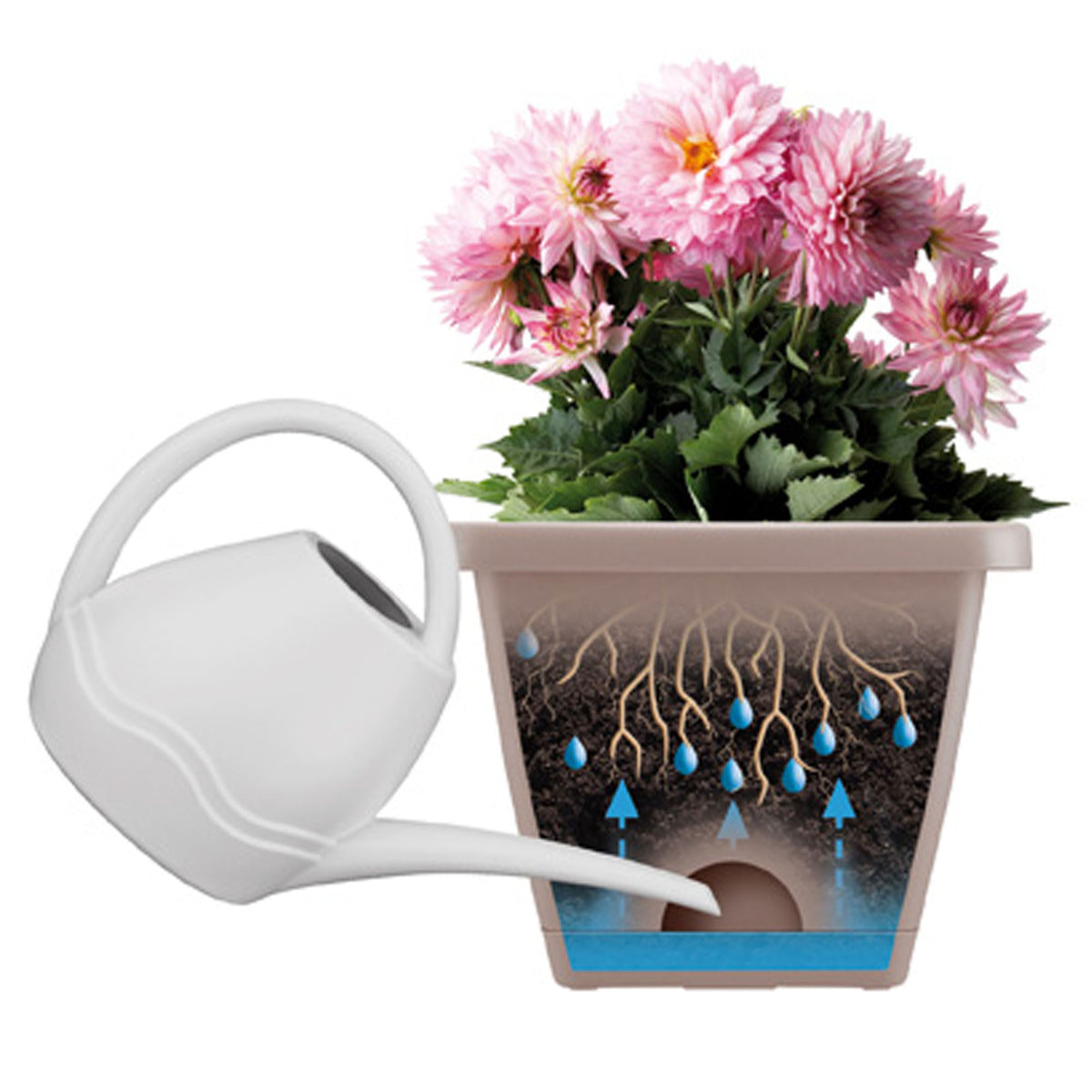 Elho balcony planter Barcelona all-in-one rectangular mint - Outdoor pot