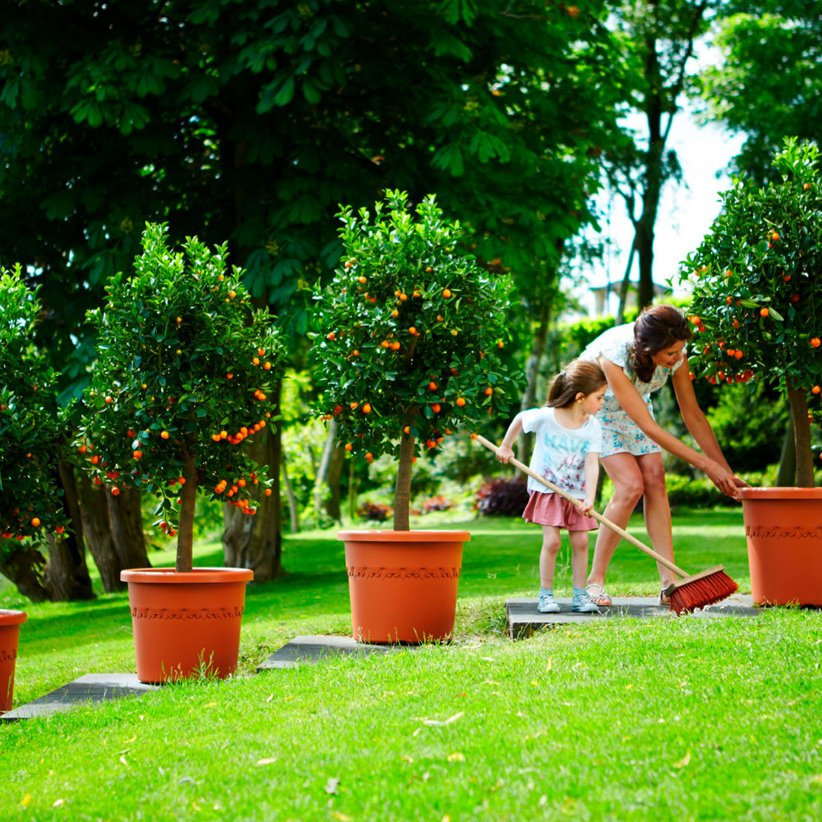 Elho Flower pot Algarve cilindro round terracotta including wheels - Outdoor pot