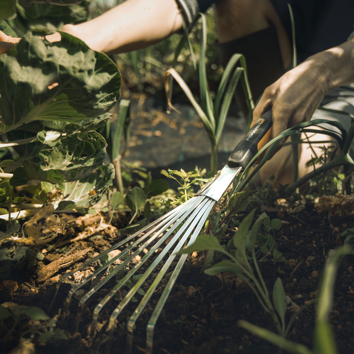 Fiskars Xact handheld rake