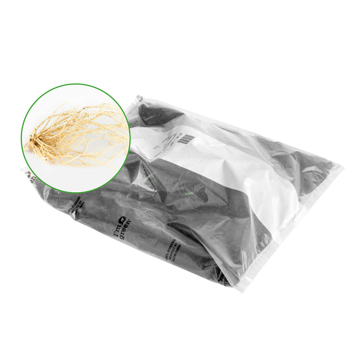 3 Hosta 'Colourful Shadow' - Bare rooted - Hardy plant