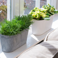 Artstone Balcony planter Claire oval grey - Indoor and outdoor pot