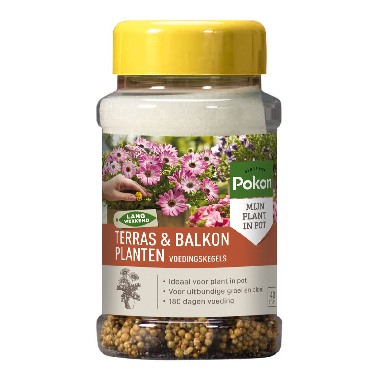 food cones for terrace and balcony plants - Pokon