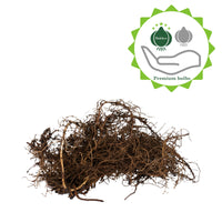 5x Bushy Aster purple-yellow - Bare rooted - Hardy plant